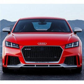 AUDI TT 8S RS FRONT GRILL SILVER