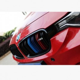 BMW 3 SERIES F30 M-POWER DUAL BAR FRONT GRILL