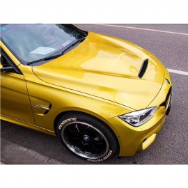 BMW 3 SERIES F30 GTS BONNET
