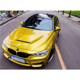 BMW 3 SERIES F30 GTS BONNET