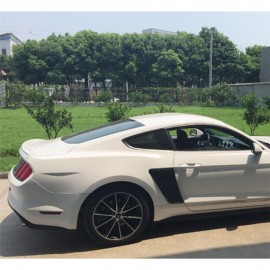 FORD MUSTANG GT-TYPE REAR SIDE SCOOPS