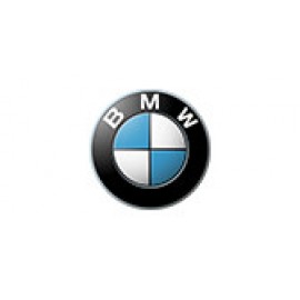 BMW (222)