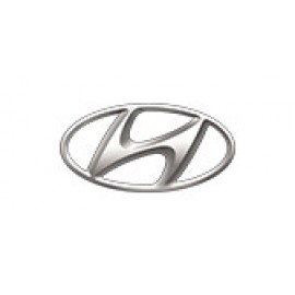 Hyundai (10)
