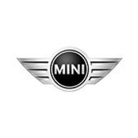 Mini Cooper (8)